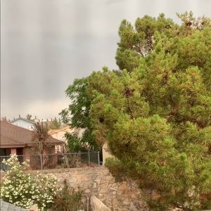 Meet your Posher, Jess